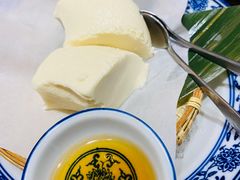 京都香浓芝士豆腐-达摩食堂(仓山万达店)