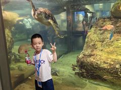-西海国立公园九十九岛水族馆