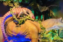 -恐龙探索乐园(磁器口店)