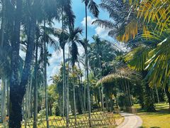 -中国科学院西双版纳热带植物园