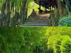 -望江楼公园