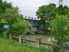 -白鹭湾湿地公园