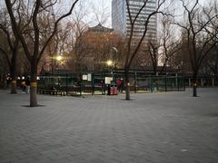 -莲花池公园