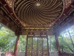 -汇龙潭