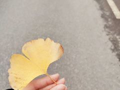 -长勺子东南亚(街道口店)