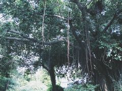 -铁路文化公园
