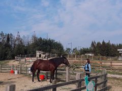 -田园东方蜜桃村的田野营地