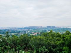 -广州莲花山旅游区