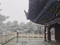 -铁山坪森林公园