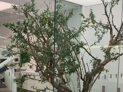 -极简口腔(总院)