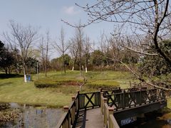 -尚贤河湿地