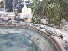 -中家鑫园温泉酒店鑫悦汤泉