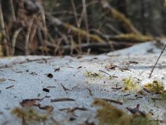 -白马王朗自然风景区