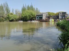 -上海滨江森林公园