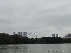 -顺峰山公园