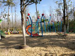 -合肥滨湖国家森林公园