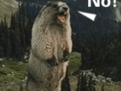 -肉串汪(望京店)