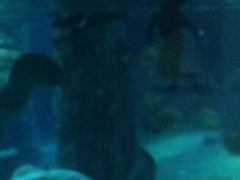 android_upload_pic-河川生态园