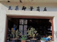 -三林塘老街