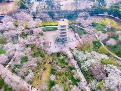 -黄鹤楼公园(黄鹤楼)