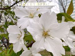 -新虹桥中心大厦