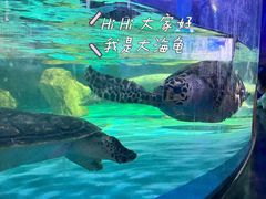 -常州海昌海洋探索馆
