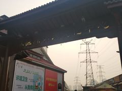 -中环花鸟鱼虫市场