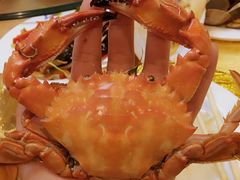 -春华海鲜城(广场西苑店)