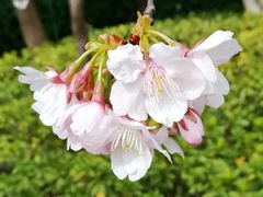 -静安雕塑公园