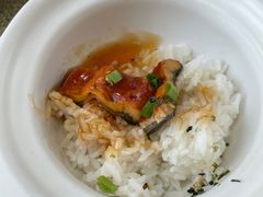 -视界美食自助餐厅·石家庄希尔顿酒店