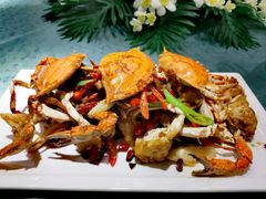 海参花-老号海仙酒家(英雄山路店)