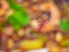 -威海渔村(黄兴路店)