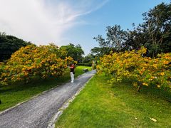 -深圳湾公园(南山区)