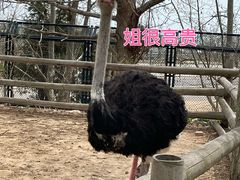 -大连森林动物园