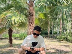 -合肥滨湖国家森林公园