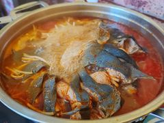 -弘烨 贵州酸汤 鱼火锅(东财店)
