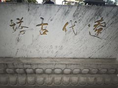 -高尔山公园