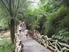 -王顺山国家森林公园