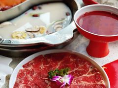 -大龙燚火锅(天钥桥路店)
