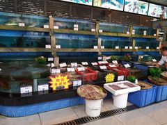 鱼池-四季大酒楼(白濠店)