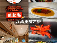 -佬肥猫(国华广场店)