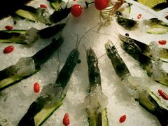 -上下九广州菜馆(锦业路店)