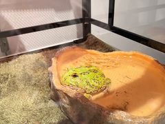 -上海昆虫博物馆