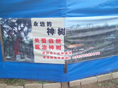 -高尔山公园
