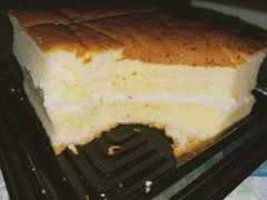 -幸福鸟动物奶油生日蛋糕(军校店)