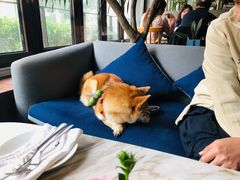 -the rug 飞毯 (朝阳公园店)