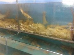 -沟北海边饭店(海埠路店)