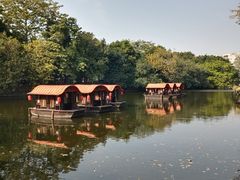 -侨美·唐荔园·40年地道粤菜