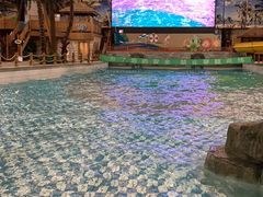 -南宫温泉水世界