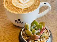 -Peet's Coffee皮爷咖啡(大学路店)